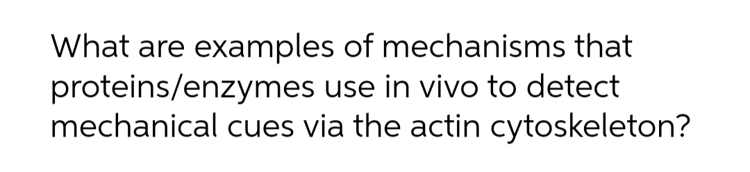 What are examples of mechanisms that
proteins/enzymes use in vivo to detect
mechanical cues via the actin cytoskeleton?
