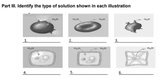 Part III. Identify the type of solution shown in each illustration
",0
H,0
1.
2.
3.
4.
5.
6.
