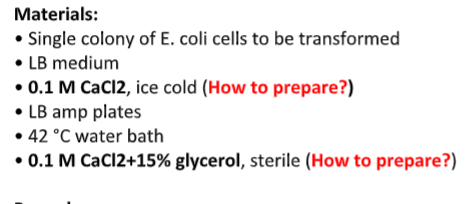 Materials:
• Single colony of E. coli cells to be transformed
• LB medium
• 0.1 M CaCl2, ice cold (How to prepare?)
• LB amp plates
42 °C water bath
• 0.1 M CaCl2+15% glycerol, sterile (How to prepare?)