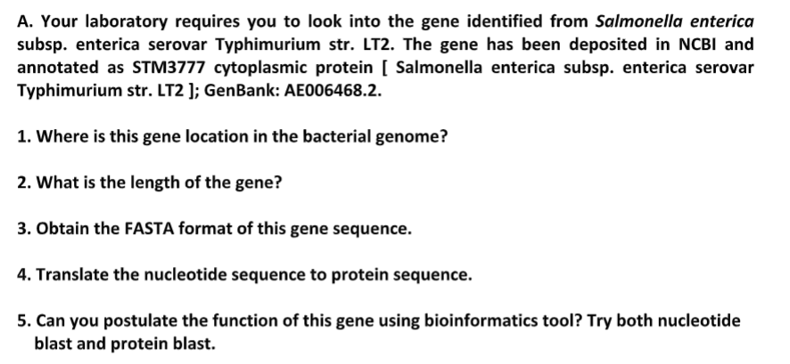 A. Your laboratory requires you to look into the gene identified from Salmonella enterica
subsp. enterica serovar Typhimurium str. LT2. The gene has been deposited in NCBI and
annotated as STM3777 cytoplasmic protein [ Salmonella enterica subsp. enterica serovar
Typhimurium str. LT2 ]; GenBank: AE006468.2.
1. Where is this gene location in the bacterial genome?
2. What is the length of the gene?
3. Obtain the FASTA format of this gene sequence.
4. Translate the nucleotide sequence to protein sequence.
5. Can you postulate the function of this gene using bioinformatics tool? Try both nucleotide
blast and protein blast.