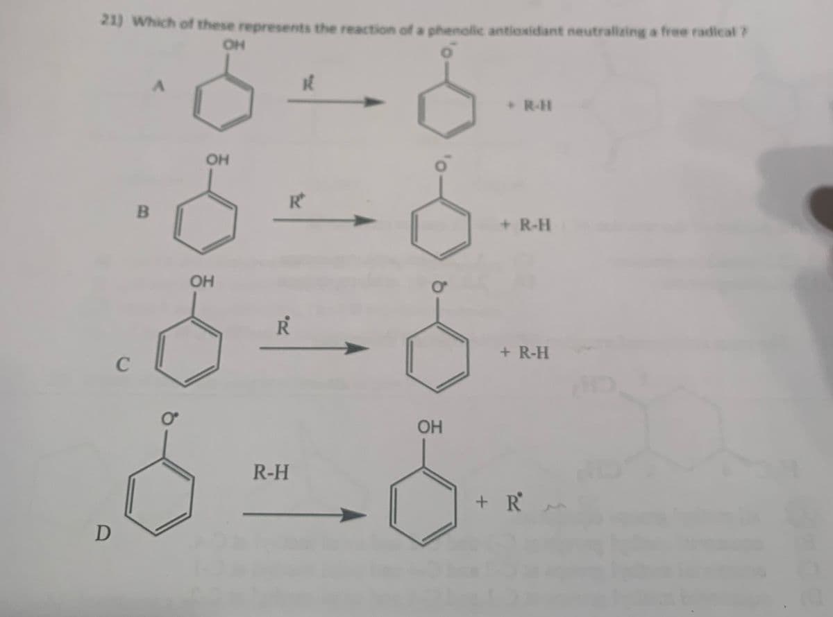 21) Which of these represents the reaction of a phenolic antioxidant neutralizing a free radical ?
+ R-H
OH
+ R-H
OH
R.
+ R-H
C
OH
R-H
+ R
D
