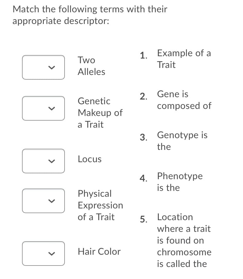 Match the following terms with their
appropriate descriptor:
1. Example of a
Trait
Two
Alleles
2. Gene is
composed of
Genetic
Makeup of
a Trait
3. Genotype is
the
Locus
4. Phenotype
is the
Physical
Expression
5. Location
where a trait
of a Trait
is found on
Hair Color
chromosome
is called the
>
