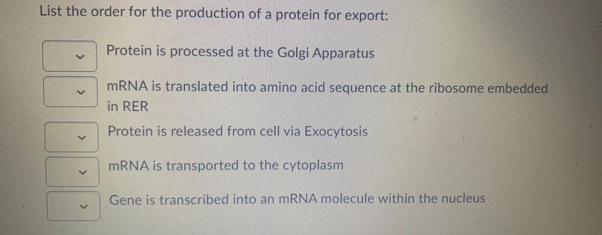 List the order for the production of a protein for export:
Protein is processed at the Golgi Apparatus
MRNA is translated into amino acid sequence at the ribosome embedded
in RER
Protein is released from cell via Exocytosis
MRNA is transported to the cytoplasm
Gene is transcribed into an mRNA molecule within the nucleus
