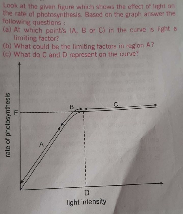 Look at the given figure which shows the effect of light on
the rate of photosynthesis. Based on the graph answer the
following questions:
(a) At which point/s (A, B or C) in the curve is light a
limiting factor?
(b) What could be the limiting factors in region A?
(c) What do C and D represent on the curve?
C
B.
A
light intensity
rate of photosynthesis
