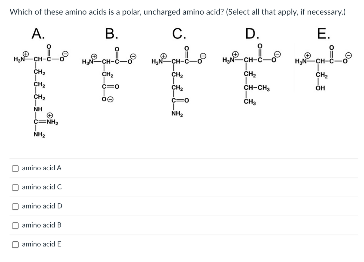 Which of these amino acids is a polar, uncharged amino acid? (Select all that apply, if necessary.)
A.
B.
D.
E.
CHLO
H₂N-CH-C
CH₂
CH₂
CH₂
NH
C=NH2
NH₂
amino acid A
amino acid C
amino acid D
amino acid B
amino acid E
H₂N-CH-C
CH₂
_i_g
C.
H₂N-CH-C-
CH2₂
I
CH₂
=0
NH₂
H₂N-CH-
CH₂
CH-CH3
CH3
H₂ND
H₂N-CH-
|
CH₂
Ï
OH