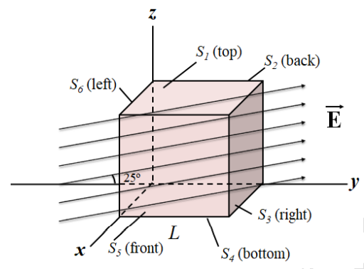 S; (top)
S2 (back)
S, (left).
E
25°
-y
S; (right)
S; (front)
S4 (bottom)
