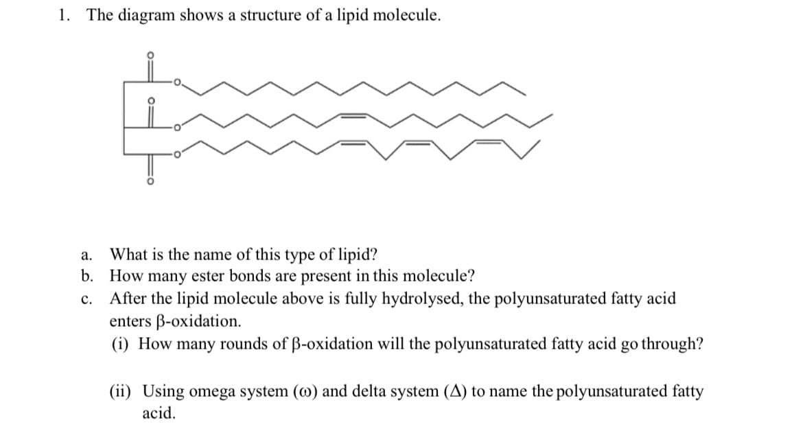 1. The diagram shows a structure of a lipid molecule.
What is the name of this type of lipid?
b. How many ester bonds are present in this molecule?
c. After the lipid molecule above is fully hydrolysed, the polyunsaturated fatty acid
enters B-oxidation.
(i) How many rounds of ß-oxidation will the polyunsaturated fatty acid go through?
а.
(ii) Using omega system (@) and delta system (A) to name the polyunsaturated fatty
acid.
