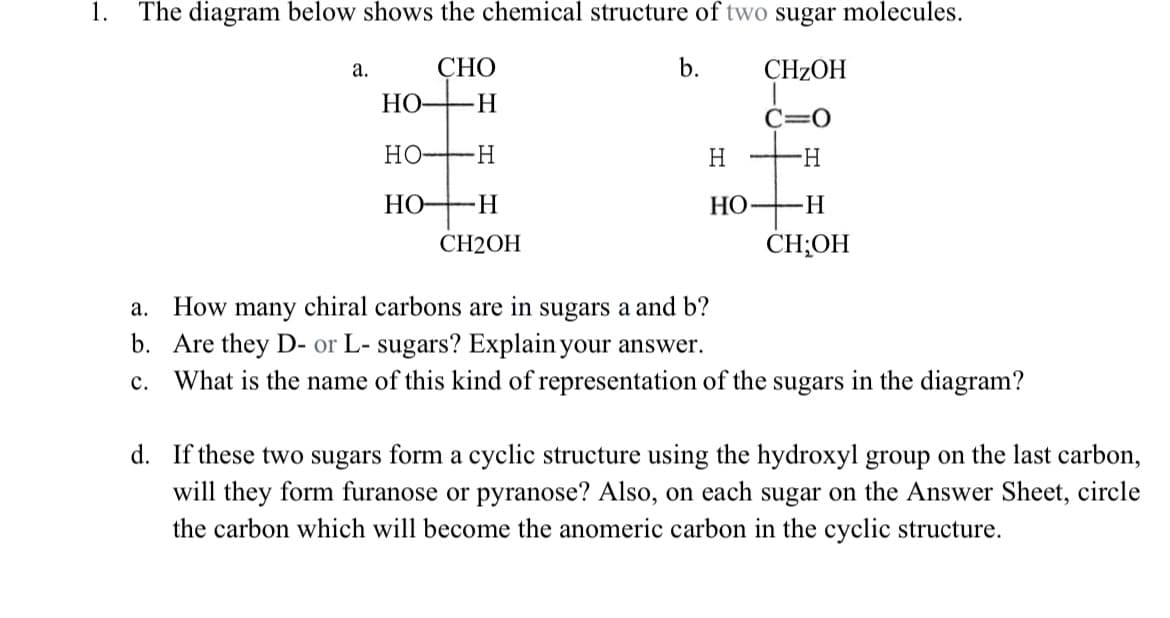 1.
The diagram below shows the chemical structure of two sugar molecules.
СНО
b.
CHZOH
а.
HO
C=0
НО—Н
H
-H-
Но-
НО —Н
CH2ОН
CH;OH
How many chiral carbons are in sugars a and b?
b. Are they D- or L- sugars? Explain your answer.
What is the name of this kind of representation of the sugars in the diagram?
а.
с.
d. If these two sugars form a cyclic structure using the hydroxyl group on the last carbon,
will they form furanose or pyranose? Also, on each sugar on the Answer Sheet, circle
the carbon which will become the anomeric carbon in the cyclic structure.
