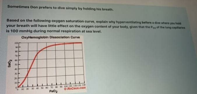Sometimes Don prefers to dive simply by holding his breath.
Based on the following oxygen saturation curve, explain why hyperventilating before a dive where you hold
your breath will have little effect on the oxygen content of your body, given that the Pog of the lung capillaries
is 100 mmHg during normal respiration at sea level.
OxyHemoglobin Dissociation Curve
100
40
20
30
10 20 0 40 s0 60 TO NO 90 100 11O 1300 10
Pa02
ORnCeus.com
Sa02
