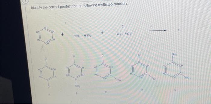 Identify the correct product for the following multistep reaction:
HNO, SO
+
Cl₂ Feci
ई
22