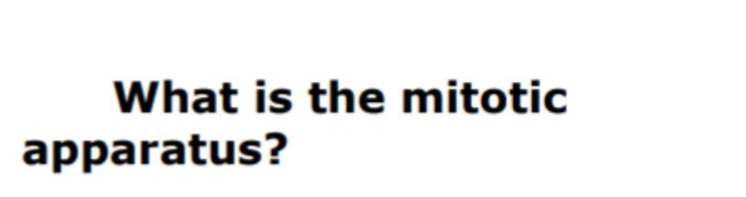 What is the mitotic
apparatus?
