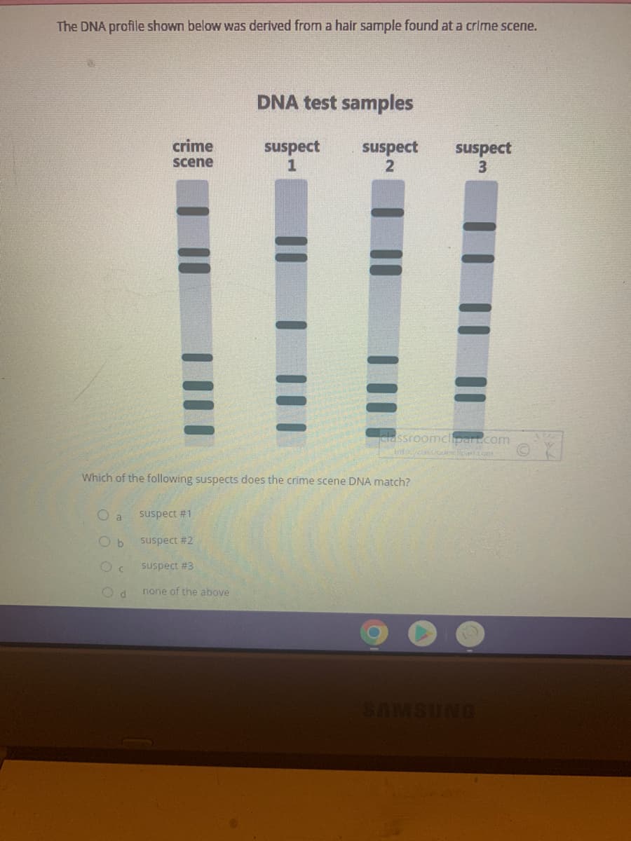 The DNA profile shown below was derived from a hair sample found at a crime scene.
DNA test samples
crime
scene
suspect suspect
1
2
suspect
3
Classroomclipart.com
tittp://cassoomelipartxom
Which of the following suspects does the crime scene DNA match?
O a
suspect #1
Ob
suspect #2
Oc suspect #3
Od
none of the above