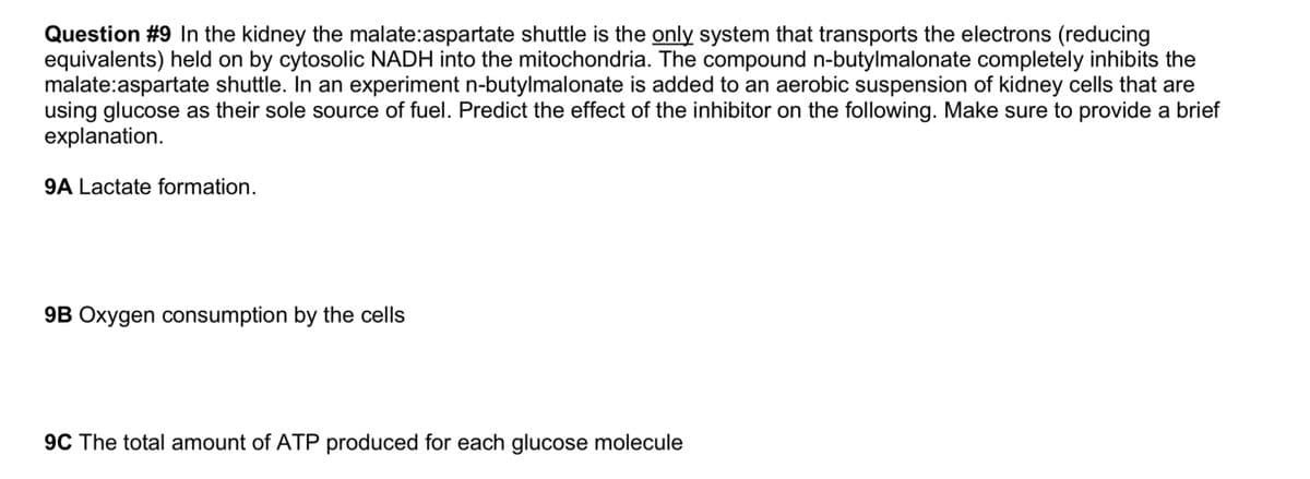 Question #9 In the kidney the malate:aspartate shuttle is the only system that transports the electrons (reducing
equivalents) held on by cytosolic NADH into the mitochondria. The compound n-butylmalonate completely inhibits the
malate:aspartate shuttle. In an experiment n-butylmalonate is added to an aerobic suspension of kidney cells that are
using glucose as their sole source of fuel. Predict the effect of the inhibitor on the following. Make sure to provide a brief
explanation.
9A Lactate formation.
9B Oxygen consumption by the cells
9C The total amount of ATP produced for each glucose molecule