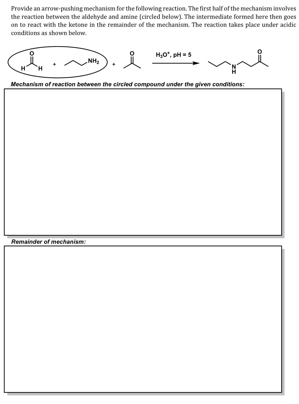 Provide an arrow-pushing mechanism for the following reaction. The first half of the mechanism involves
the reaction between the aldehyde and amine (circled below). The intermediate formed here then goes
on to react with the ketone in the remainder of the mechanism. The reaction takes place under acidic
conditions as shown below.
H30*, pH = 5
NH2
+
H
Mechanism of reaction between the circled compound under the given conditions:
Remainder of mechanism:
