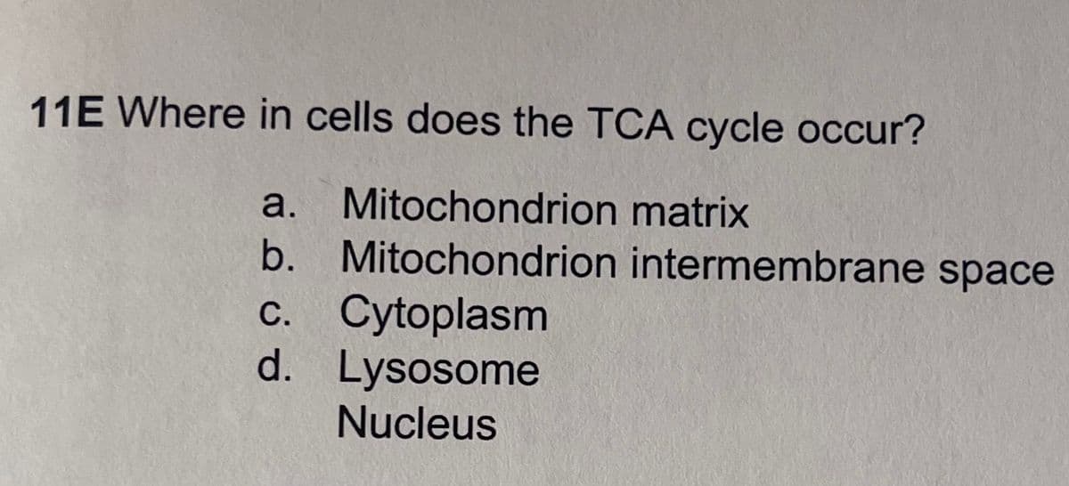 11E Where in cells does the TCA cycle occur?
a.
Mitochondrion matrix
b. Mitochondrion intermembrane space
c. Cytoplasm
d. Lysosome
Nucleus