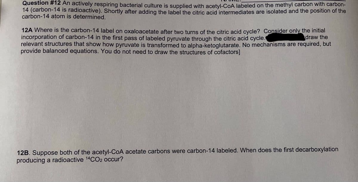 Question #12 An actively respiring bacterial culture is supplied with acetyl-CoA labeled on the methyl carbon with carbon-
14 (carbon-14 is radioactive). Shortly after adding the label the citric acid intermediates are isolated and the position of the
carbon-14 atom is determined.
12A Where is the carbon-14 label on oxaloacetate after two turns of the citric acid cycle? Consider only the initial
incorporation of carbon-14 in the first pass of labeled pyruvate through the citric acid cycle.
relevant structures that show how pyruvate is transformed to alpha-ketoglutarate. No mechanisms are required, but
provide balanced equations. You do not need to draw the structures of cofactors]
draw the
12B. Suppose both of the acetyl-CoA acetate carbons were carbon-14 labeled. When does the first decarboxylation
producing a radioactive 14CO2 occur?