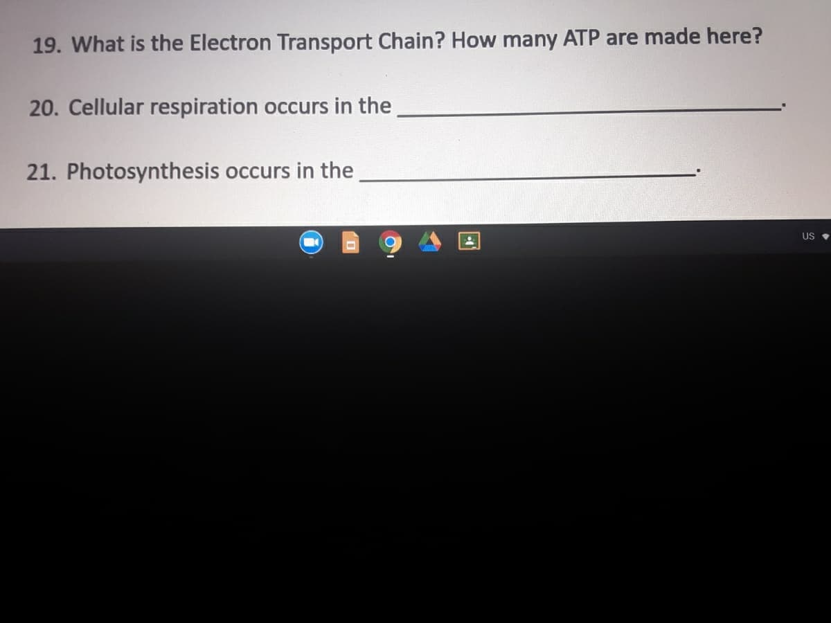 19. What is the Electron Transport Chain? How many ATP are made here?
20. Cellular respiration occurs in the
21. Photosynthesis occurs in the,
US
