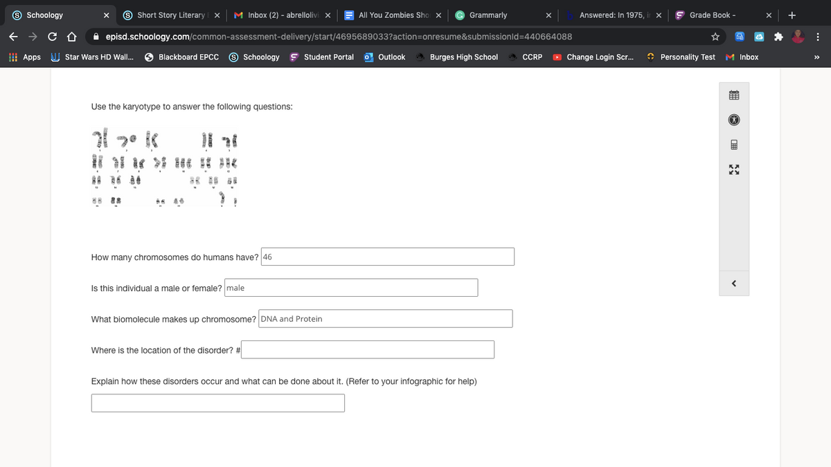 9 Schoology
9 Short Story Literary X
M Inbox (2) - abrellolivi x
E All You Zombies Sho x
Grammarly
Answered: In 1975,
Grade Book -
+
A episd.schoology.com/common-assessment-delivery/start/4695689033?action=Donresume&submissionld=440664088
I Apps I Star Wars HD Wall.
O Blackboard EPCC 9 Schoology
ç Student Portal o Outlook
Burges High School
CCRP
O Change Login Scr.
O Personality Test
M Inbox
>>
Use the karyotype to answer the following questions:
How many chromosomes do humans have? 46
Is this individual a male or female? male
What biomolecule makes up chromosome? DNA and Protein
Where is the location of the disorder? #
Explain how these disorders occur and what can be done about it. (Refer to your infographic for help)
