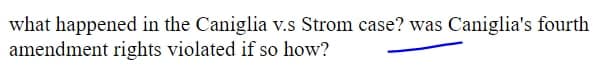 what happened in the Caniglia v.s Strom case? was Caniglia's fourth
amendment rights violated if so how?
