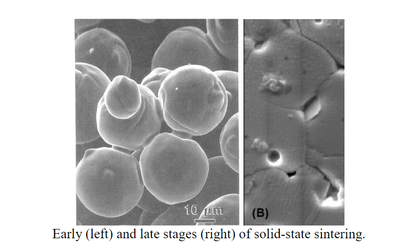 10 um
(B)
Early (left) and late stages (right) of solid-state sintering.
