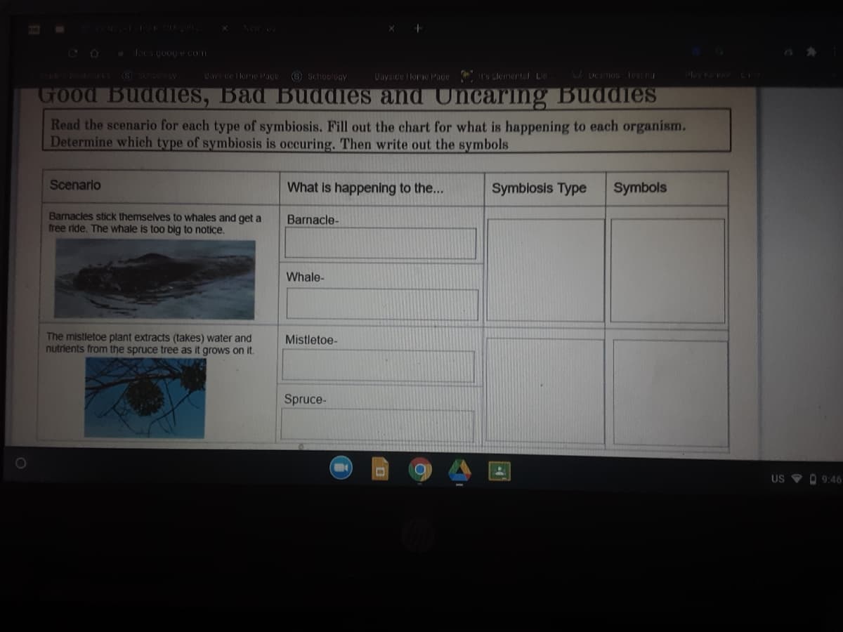 CO
Jocs googe com
o ks (S Schoooy Uavsce lone Pace
(6 Schooloay
Uayside lorie Page s Llemertul Lie Umos les g
Play Fe o LI
Good Buddies, Bad Buddies and Uncaring Buddies
Read the scenario for each type of symbiosis. Fill out the chart for what is happening to each organism.
Determine which type of symbiosis is occuring. Then write out the symbols
Scenario
What is happening to the...
Symbiosis Type
Symbols
Bamacles stick themselves to whales and get a
free ride. The whale is too big to notice.
Barnacle-
Whale-
The mistletoe plant extracts (takes) water and
nutrients from the spruce tree as it grows on it.
Mistletoe-
Spruce-
US O 9:46
