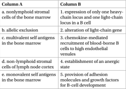 Column A
Column B
a. nonlymphoid stromal
cells of the bone marrow
1. expression of only one heavy-
chain locus and one light-chain
locus in a B cell
2. alteration of light-chain gene
b. allelic exclusion
c. multivalent self antigens 3. chemokine-mediated
in the bone marrow
recruitment of blood-borne B
cells to high endothelial
venules
d. non-lymphoid stromal 4. establishment of an anergic
cells of lymph node cortex state
e. monovalent self antigens 5. provision of adhesion
molecules and growth factors
for B-cell development
in the bone marrow
