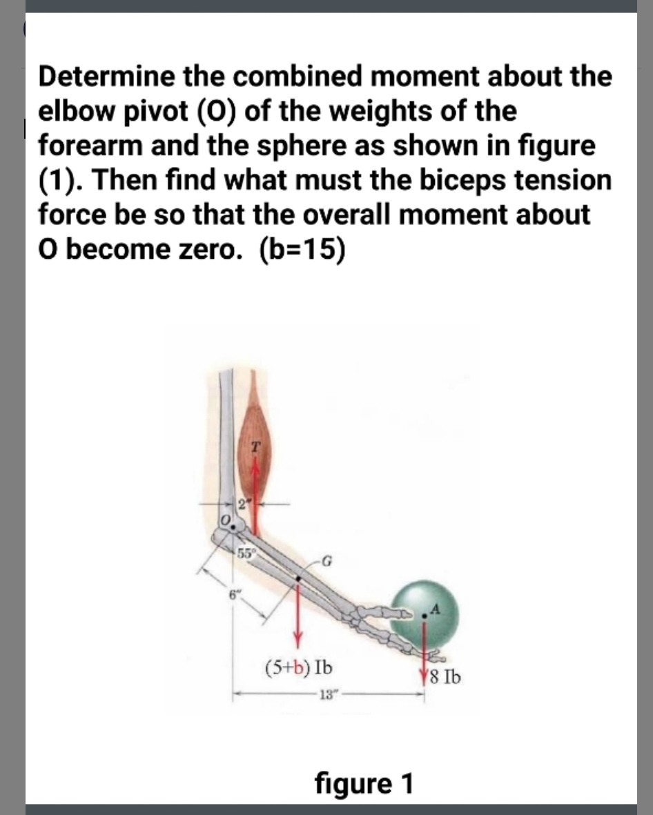 Determine the combined moment about the
elbow pivot (O) of the weights of the
forearm and the sphere as shown in figure
(1). Then find what must the biceps tension
force be so that the overall moment about
O become zero. (b=15)
55
(5+b) Ib
¥8 Ib
13"
figure 1
