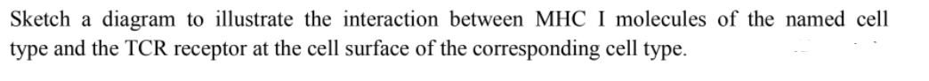 Sketch a diagram to illustrate the interaction between MHC I molecules of the named cell
type and the TCR receptor at the cell surface of the corresponding cell type.

