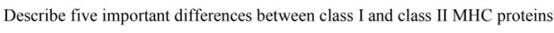 Describe five important differences between class I and class II MHC proteins
