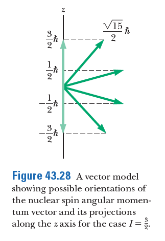 V15
Figure 43.28 A vector model
showing possible orientations of
the nuclear spin angular momen-
tum vector and its projections
along the z axis for the case I =
2"
