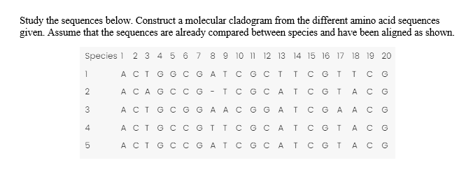 Study the sequences below. Construct a molecular cladogram from the different amino acid sequences
given. Assume that the sequences are already compared between species and have been aligned as shown.
Species 1 2 3 4 5 6 7 8 9 10 11 12 13 14 15 16 17 18 19 20
ACT
G G C G AT
C G
1
2
3
4
5
A C A G
ACT G C G
C G C T T C
G T
T C G
T C G C A T C G T A C G
A C G
A C T G C C G T T C G C A T C G T
A
C G
A C T G
GAA C G GATC GA
C G A T C G C A T C G т
A C G