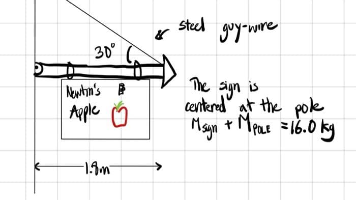 steed goyonre
30°
Newtin's e
Apple Ŭ
The agn is
centered" at the pok
+MpaE =16.0 kg
Magyn
