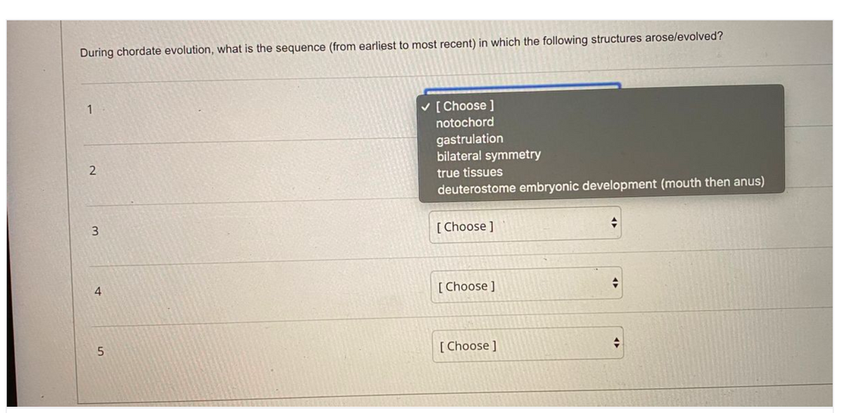 During chordate evolution, what is the sequence (from earliest to most recent) in which the following structures arose/evolved?
1
v [ Choose ]
notochord
gastrulation
bilateral symmetry
2
true tissues
deuterostome embryonic development (mouth then anus)
3
[ Choose ]
4
[ Choose ]
[ Choose ]
