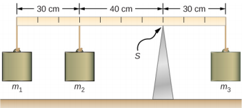 E 30 cm -
30 cm
40 cm
S
m3
m,
m2
