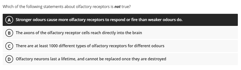 Which of the following statements about olfactory receptors is not true?
A Stronger odours cause more olfactory receptors to respond or fire than weaker odours do.
B) The axons of the olfactory receptor cells reach directly into the brain
c) There are at least 1000 different types of olfactory receptors for different odours
D Olfactory neurons last a lifetime, and cannot be replaced once they are destroyed
