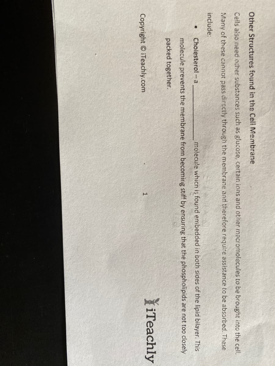 Other Structures found in the Cell Membrane
Ceils also need ocher substances such as glucose, certain ions and other macromolecules to be brought into the cell.
Many of these cannot pass dirsctly through the membrane and therefore require assistance to be absorbed. These
include:
Choiestero! -a
molecule which is found embedded in both sides of the lipid bilayer. This
molecule prevents the membrane from becoming stiff by ensuring that the phospholipids are not too closely
packed together.
iTeachly
Copyright © iTeachly.com
1
