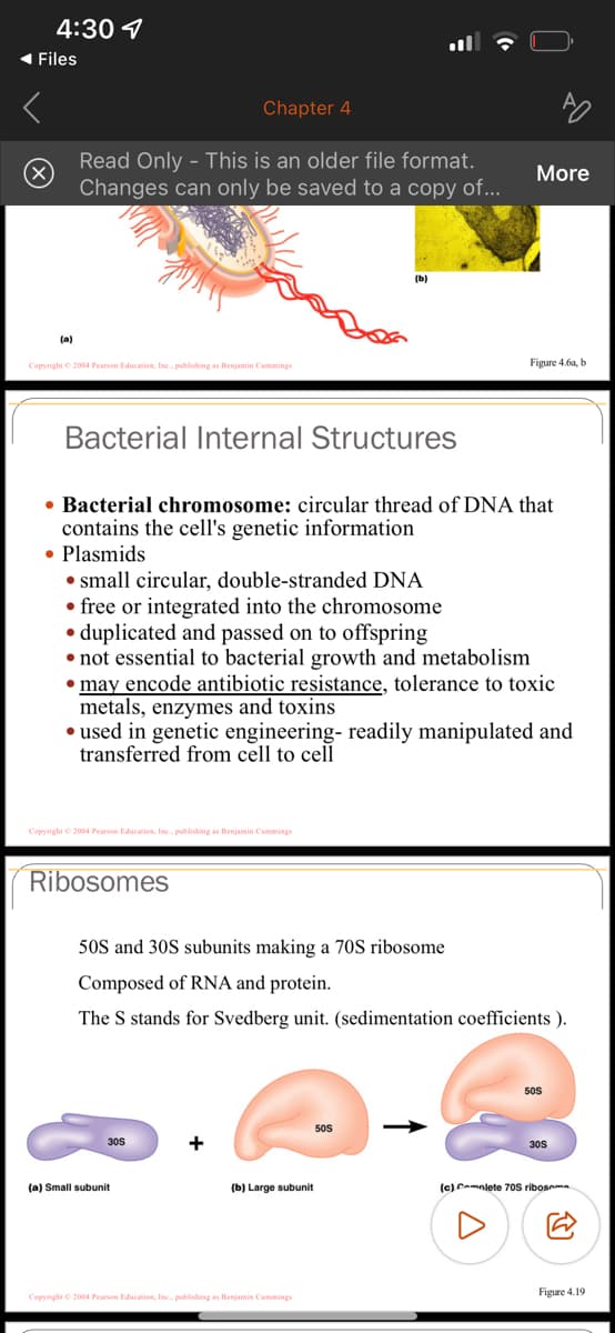 4:30
◄ Files
(a)
Chapter 4
Read Only - This is an older file format.
Changes can only be saved to a copy of...
Copyright © 2004 Pearson Education, Inc., publishing as Benjamin Cummings
Bacterial Internal Structures
Copyright © 2004 Pearson Education, Inc., publishing as Benjamin Cummings
• Bacterial chromosome: circular thread of DNA that
contains the cell's genetic information
• Plasmids
Ribosomes
small circular, double-stranded DNA
free or integrated into the chromosome
• duplicated and passed on to offspring
• not essential to bacterial growth and metabolism
• may encode antibiotic resistance, tolerance to toxic
metals, enzymes and toxins
• used in genetic engineering- readily manipulated and
transferred from cell to cell
(b)
30S
(a) Small subunit
50S and 30S subunits making a 70S ribosome
Composed of RNA and protein.
The S stands for Svedberg unit. (sedimentation coefficients).
(b) Large subunit
More
Copyright © 2004 Pearson Education, Inc., publishing as Benjamin Cummings
Figure 4.6a, b
(c) mlete
50S
30S
ribosoma
Figure 4.19