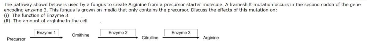 The pathway shown below is used by a fungus to create Arginine from a precursor starter molecule. A frameshift mutation occurs in the second codon of the gene
encoding enzyme 3. This fungus is grown on media that only contains the precursor. Discuss the effects of this mutation on:
(i) The function of Enzyme 3
(ii) The amount of arginine in the cell
Enzyme 1
Enzyme 2
Enzyme 3
Ornithine
Precursor
Citrulline
Arginine
