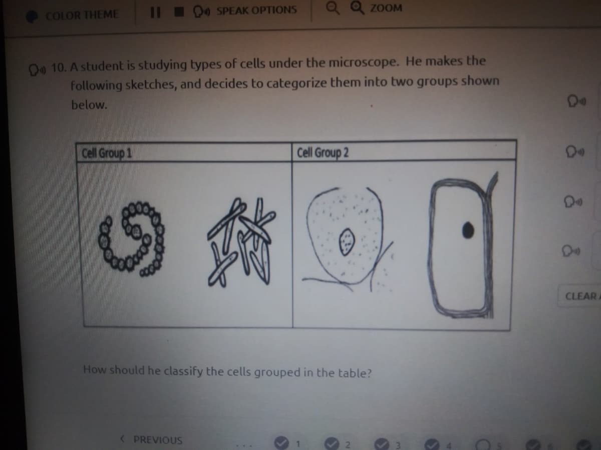 11
Oo SPEAK OPTIONS
Q Q ZOOM
COLOR THEME
Oo 10. A student is studying types of cells under the microscope. He makes the
following sketches, and decides to categorize them into two groups shown
below.
Cell Group 1
Cell Group 2
CLEARA
How should he classify the cells grouped in the table?
( PREVIOUS
& & &
