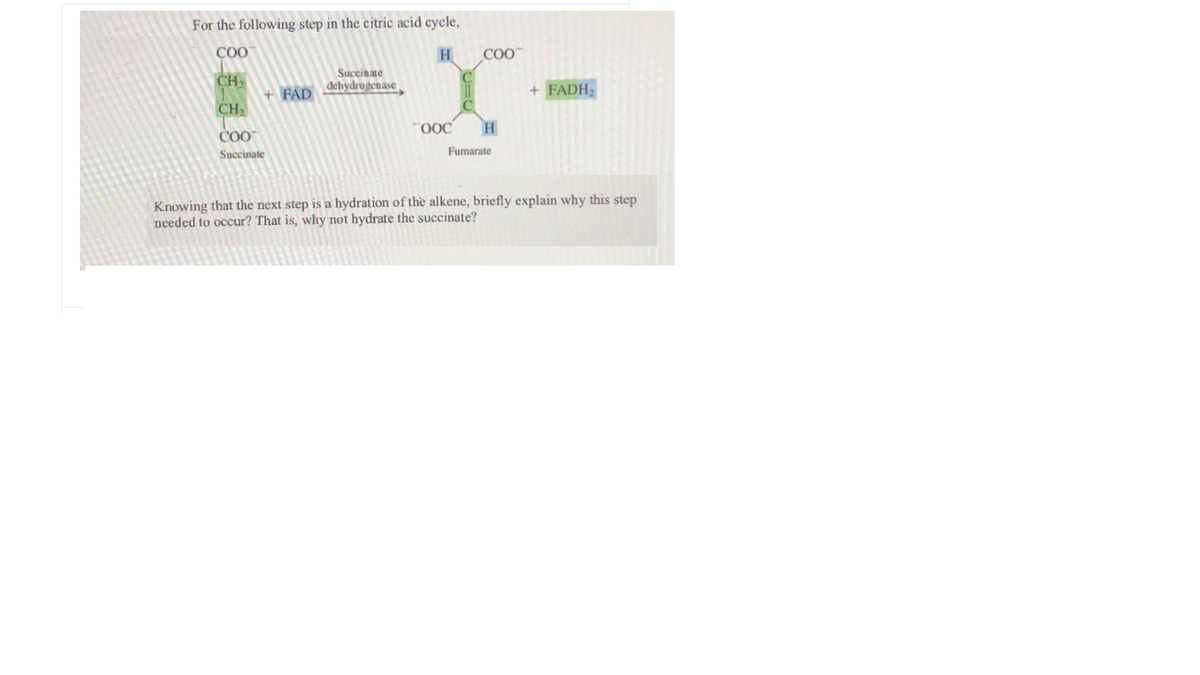 For the following step in the citric acid cycle,
COO
H
COO
Succinate
CH-
+ FAD
dehydrogenase
+ FADH,
CH,
"0OC
H
Succinate
Fumarate
Knowing that the next step is a hydration of the alkene, briefly explain why this step
needed to occur? That is, why not hydrate the succinate?
