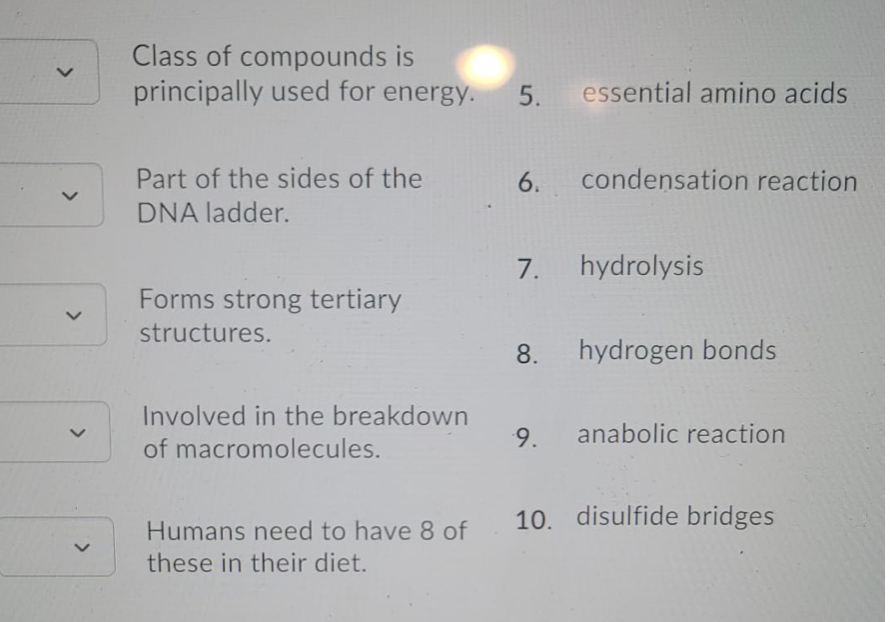 Class of compounds is
principally used for energy.
5.
essential amino acids
Part of the sides of the
6.
condensation reaction
DNA ladder.
7.
hydrolysis
Forms strong tertiary
structures.
8.
hydrogen bonds
Involved in the breakdown
9.
anabolic reaction
of macromolecules.
10. disulfide bridges
Humans need to have 8 of
these in their diet.
>
<>
<>
<>
