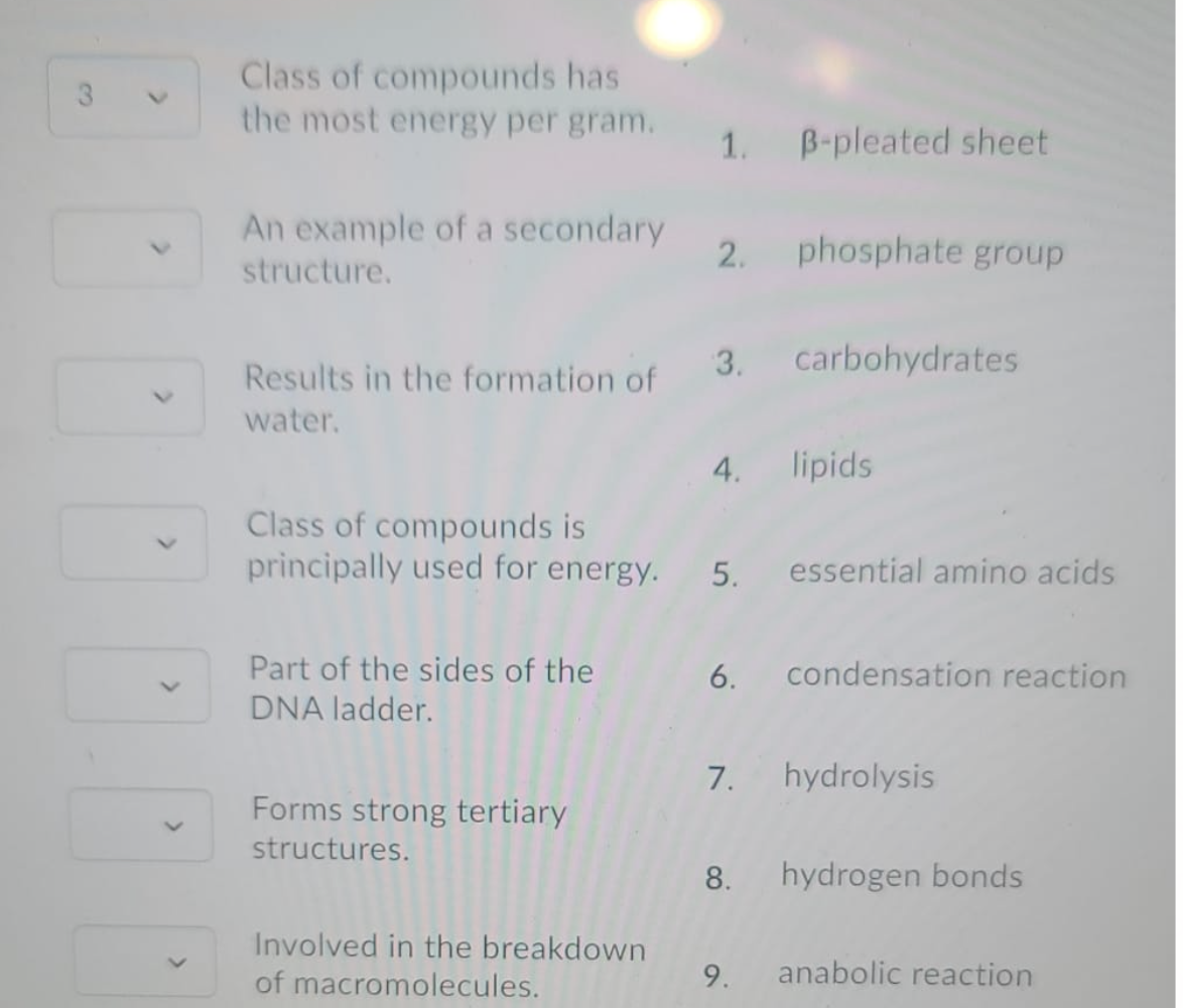 Class of compounds has
the most energy per gram.
3.
1.
B-pleated sheet
An example of a secondary
2.
phosphate group
structure.
3.
carbohydrates
Results in the formation of
water.
4. lipids
Class of compounds is
principally used for energy. 5. essential amino acids
Part of the sides of the
DNA ladder.
6. condensation reaction
7. hydrolysis
Forms strong tertiary
structures.
8. hydrogen bonds
Involved in the breakdown
of macromolecules.
9.
anabolic reaction
