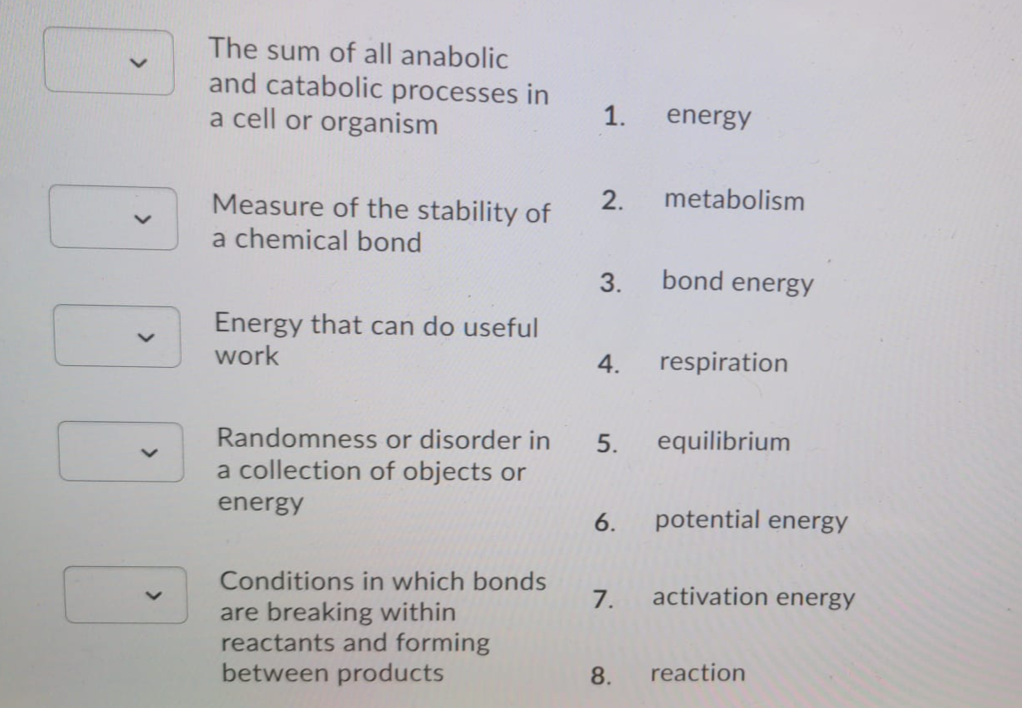 The sum of all anabolic
and catabolic processes in
a cell or organism
1.
energy
Measure of the stability of
2.
metabolism
a chemical bond
3.
bond energy
Energy that can do useful
work
4.
respiration
Randomness or disorder in
a collection of objects or
5.
equilibrium
energy
6.
potential energy
Conditions in which bonds
7.
activation energy
are breaking within
reactants and forming
between products
8.
reaction
