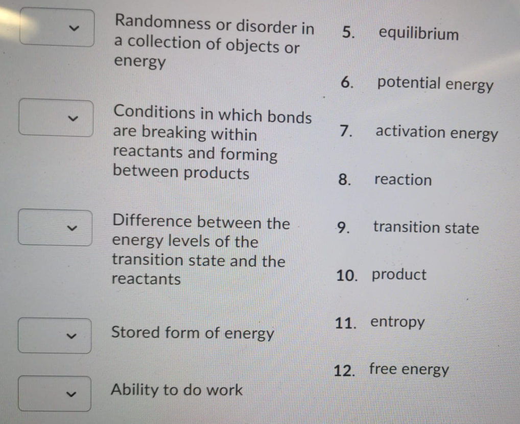 Randomness or disorder in
a collection of objects or
5.
equilibrium
energy
6.
potential energy
Conditions in which bonds
7.
activation energy
are breaking within
reactants and forming
between products
8.
reaction
Difference between the
9.
transition state
energy levels of the
transition state and the
10. product
reactants
11. entropy
Stored form of energy
12. free energy
Ability to do work
