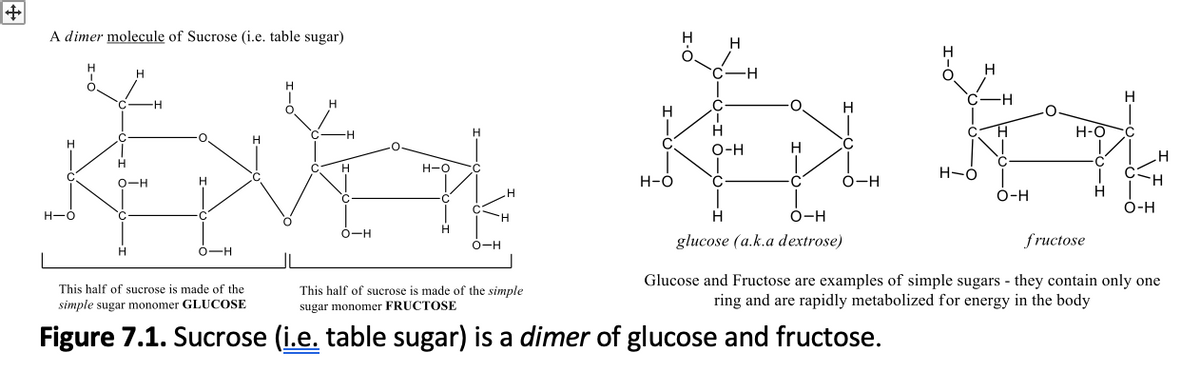 A dimer molecule of Sucrose (i.e. table sugar)
H
-H-
H
H
C
H
H
H.
Н-О
H.
H.
О-н
H.
C
H-O
O-H
H-O
O-H
O-H
О-н
H-O
H
O-H
O-H
0-H
glucose (a.k.a dextrose)
fructose
O-H
Glucose and Fructose are examples of simple sugars - they contain only one
ring and are rapidly metabolized for energy in the body
This half of sucrose is made of the
This half of sucrose is made of the simple
simple sugar monomer GLUCOSE
sugar monomer FRUCTOSE
Figure 7.1. Sucrose (i.e. table sugar) is a dimer of glucose and fructose.
