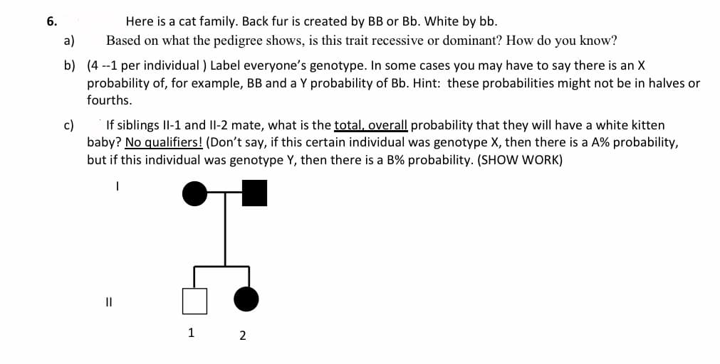 Here is a cat family. Back fur is created by BB or Bb. White by bb.
Based on what the pedigree shows, is this trait recessive or dominant? How do you know?
6.
a)
b) (4 --1 per individual ) Label everyone's genotype. In some cases you may have to say there is an X
probability of, for example, BB and a Y probability of Bb. Hint: these probabilities might not be in halves or
fourths.
c)
baby? No qualifiers! (Don't say, if this certain individual was genotype X, then there is a A% probability,
but if this individual was genotype Y, then there is a B% probability. (SHOW WORK)
If siblings Il-1 and Il-2 mate, what is the total, overall probability that they will have a white kitten
II
1
2
