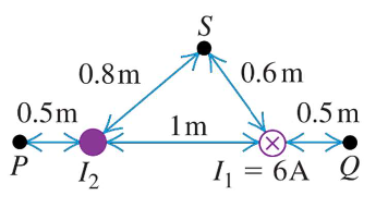 S
0.8m
0.6 m
0.5m
0.5 m
1m
(X)
I = 6A Q
