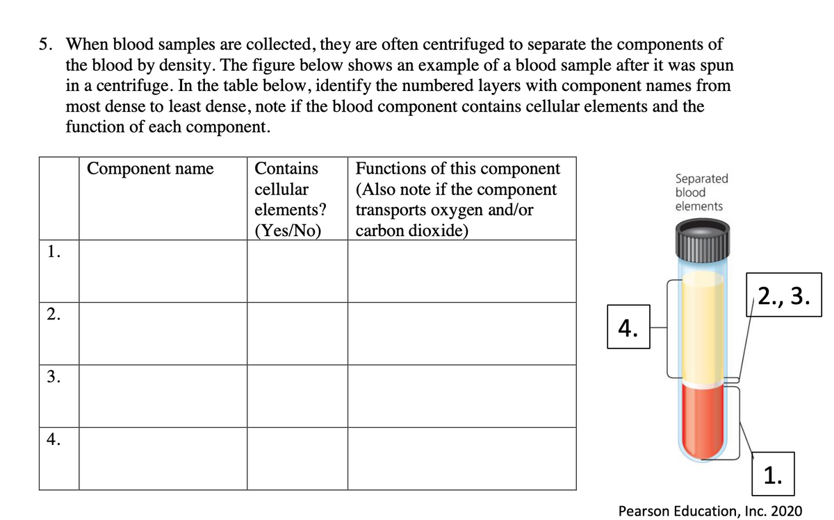 5. When blood samples are collected, they are often centrifuged to separate the components of
the blood by density. The figure below shows an example of a blood sample after it was spun
in a centrifuge. In the table below, identify the numbered layers with component names from
most dense to least dense, note if the blood component contains cellular elements and the
function of each component.
Functions of this component
(Also note if the component
transports oxygen and/or
carbon dioxide)
Component name
Contains
Separated
blood
elements
cellular
elements?
(Yes/No)
1.
2., 3.
3.
1.
Pearson Education, Inc. 2020
4.
2.
4.
