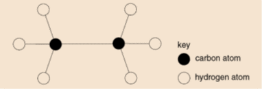 key
carbon atom
hydrogen atom
