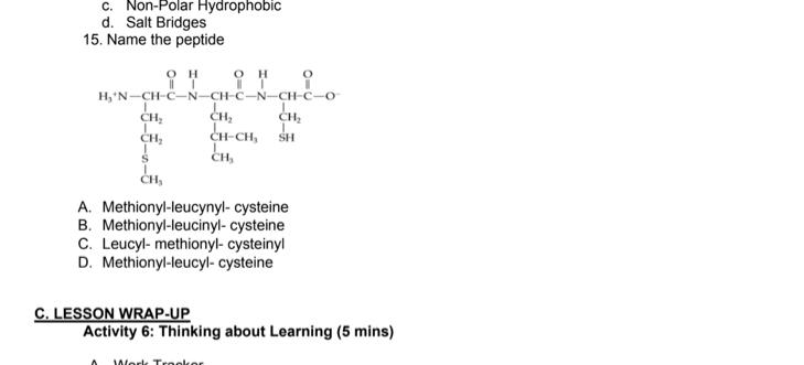 c. Non-Polar Hydrophobic
d. Salt Bridges
15. Name the peptide
он
он
H,'N-CH-C-N-CH-C-N–CH-C-o-
CH,
CH-CH, SH
CH,
CH;
CH,
A. Methionyl-leucynyl- cysteine
B. Methionyl-leucinyl- cysteine
C. Leucyl- methionyl- cysteinyl
D. Methionyl-leucyl- cysteine
C. LESSON WRAP-UP
Activity 6: Thinking about Learning (5 mins)
Work Troolcor
